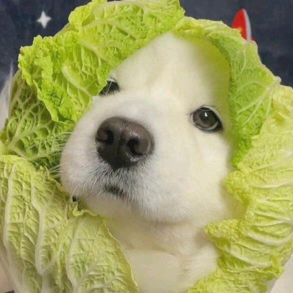 辞忧