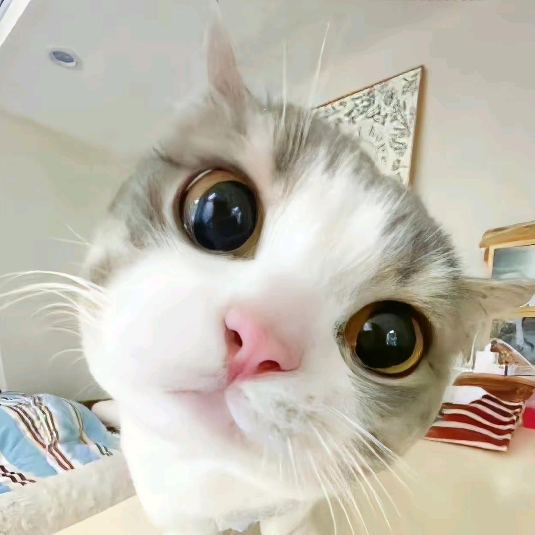 有容