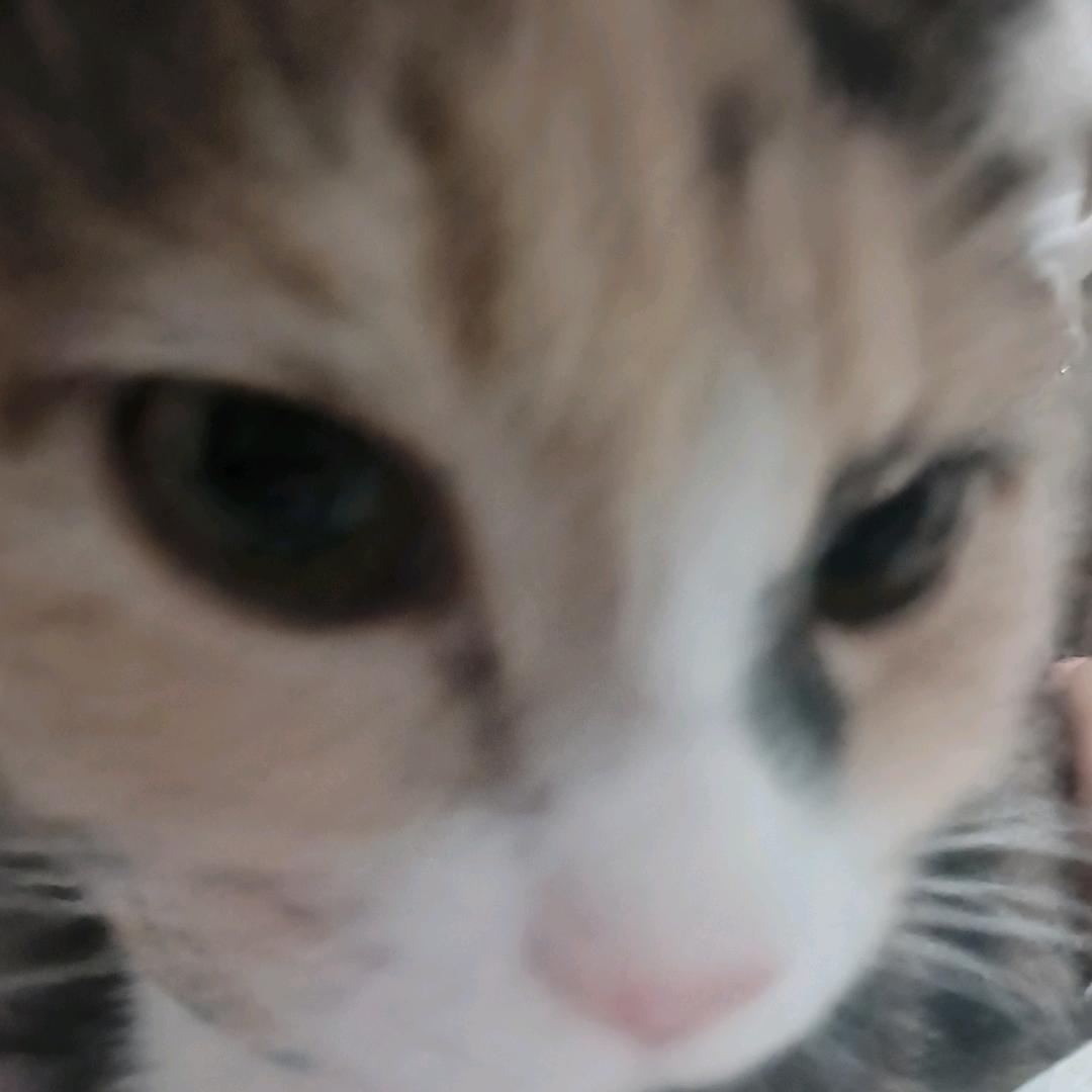 sjhsgdhdns