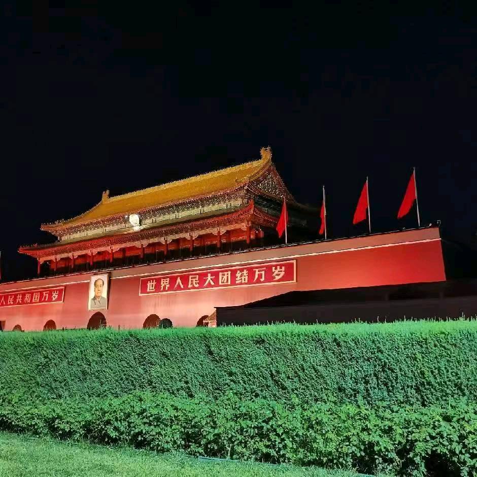 孤酒醉人心