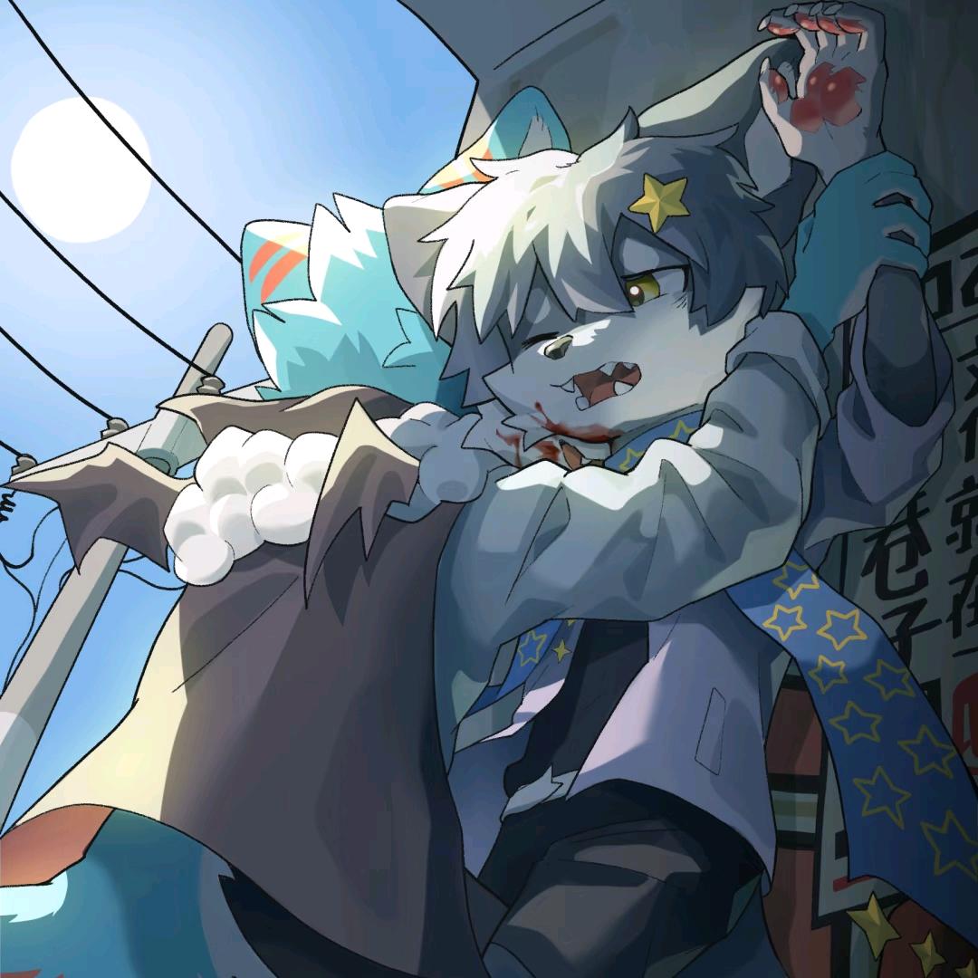 星泽Stellary🇨🇳