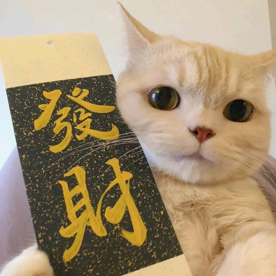 小裴创业早餐