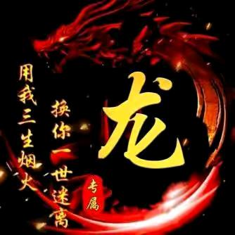 龙家大少