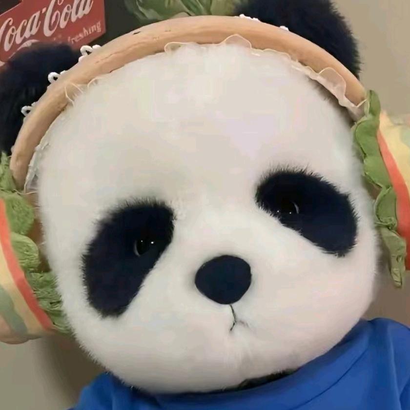 🐼可爱的小熊猫🌻