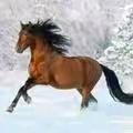 马🐴到成功
