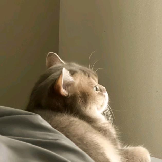 讲讲讲
