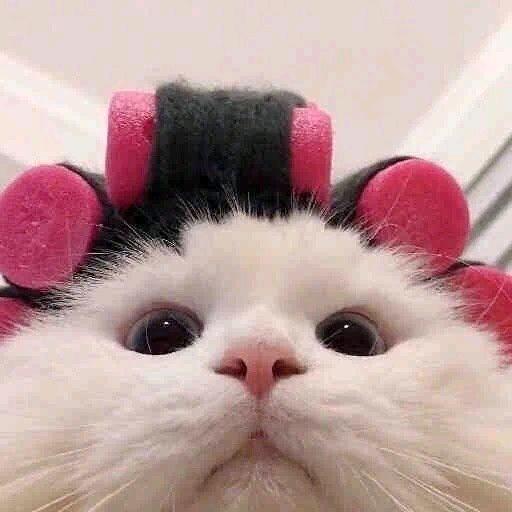 小乔～