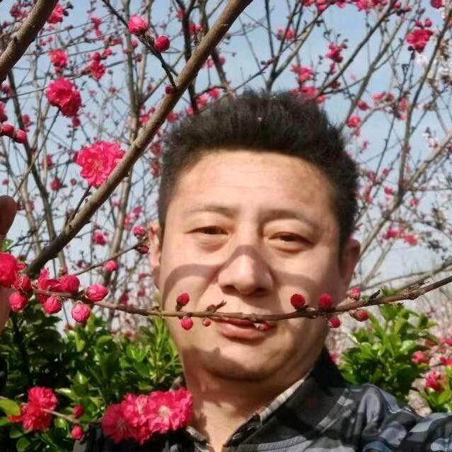 刘永（宣传娱乐）