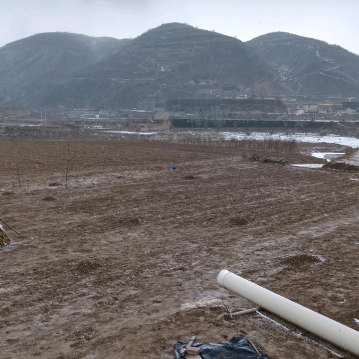 崔志宏
