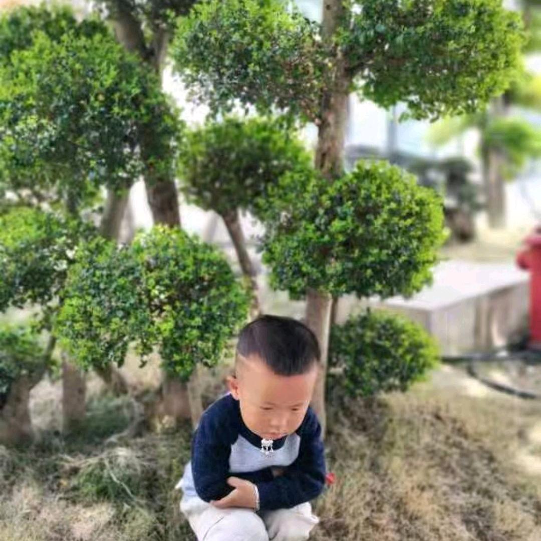 搬砖哥