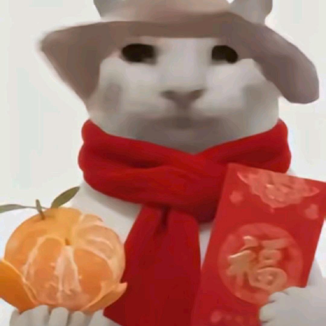 妙妙🍀
