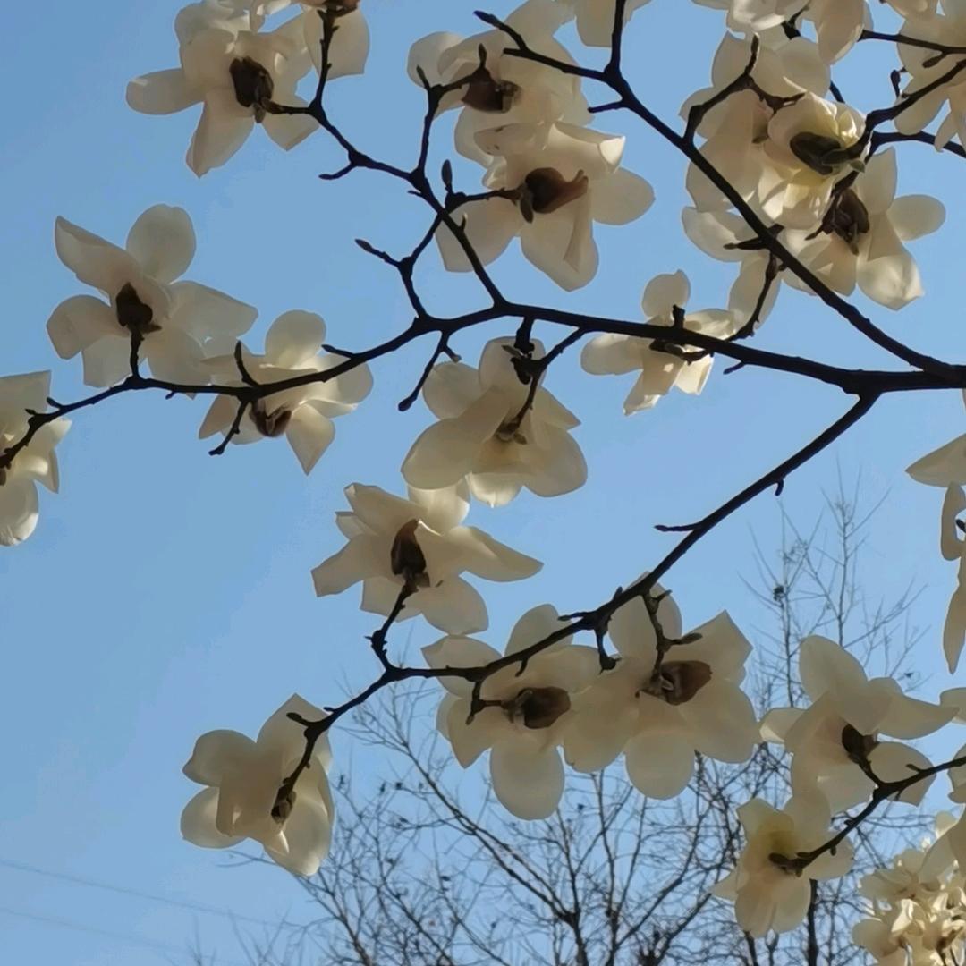 王伟