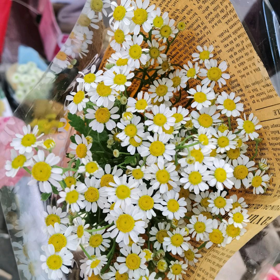 星耀