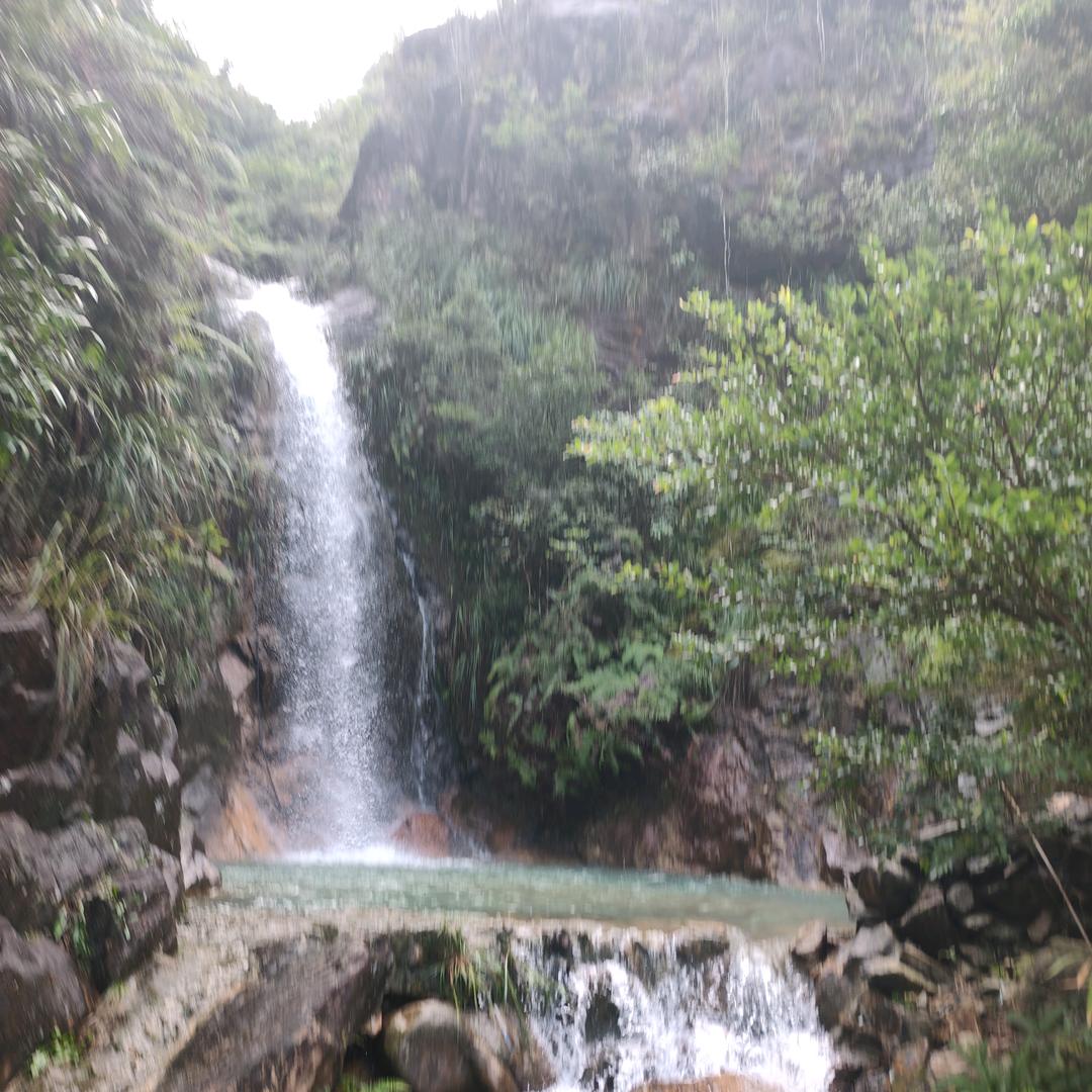 絮