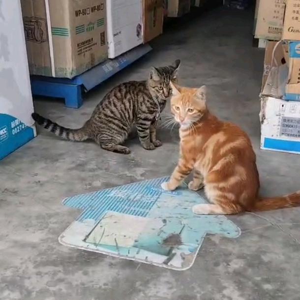 守望