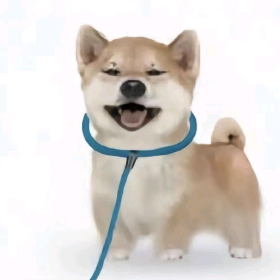 悠路