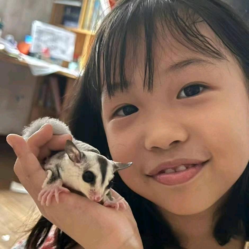 我是妞妞小可爱