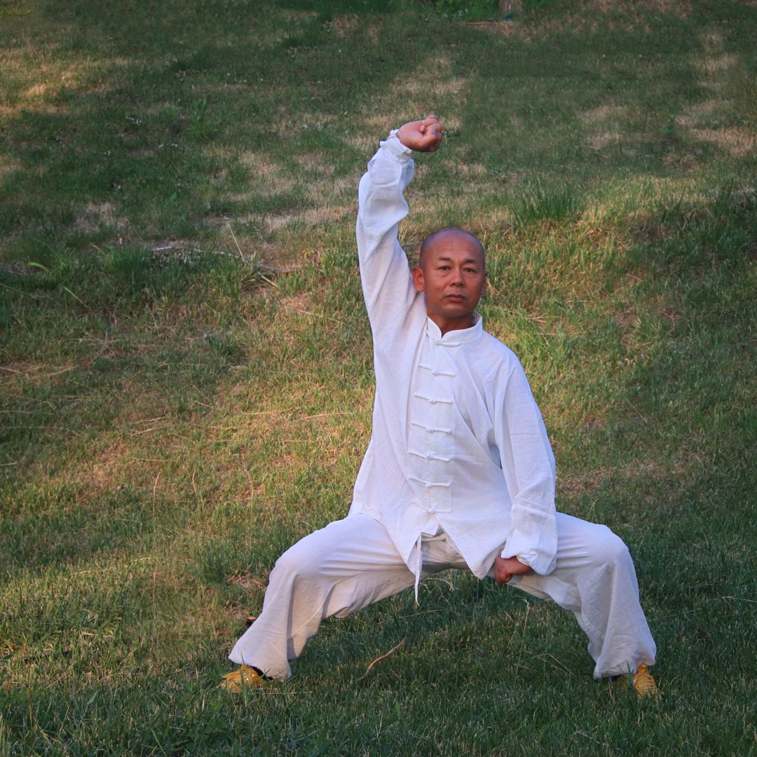 沧州功力拳陈宏林(拒私聊)