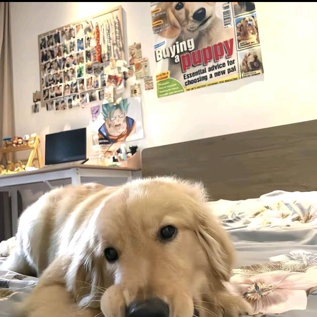 😀