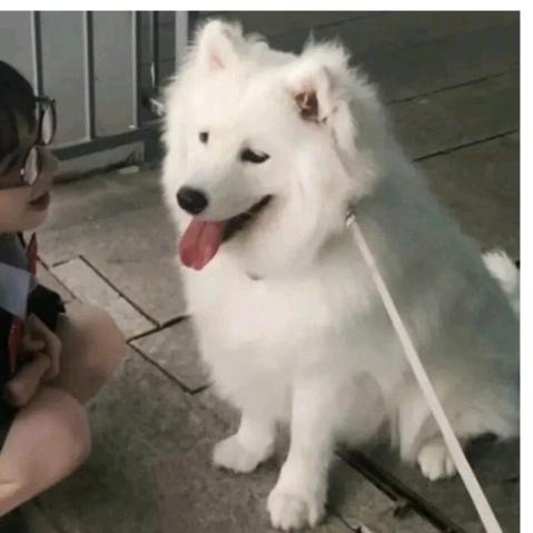 不曾想