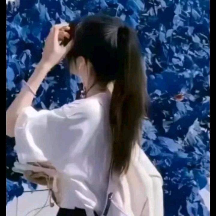 小鱼鱼