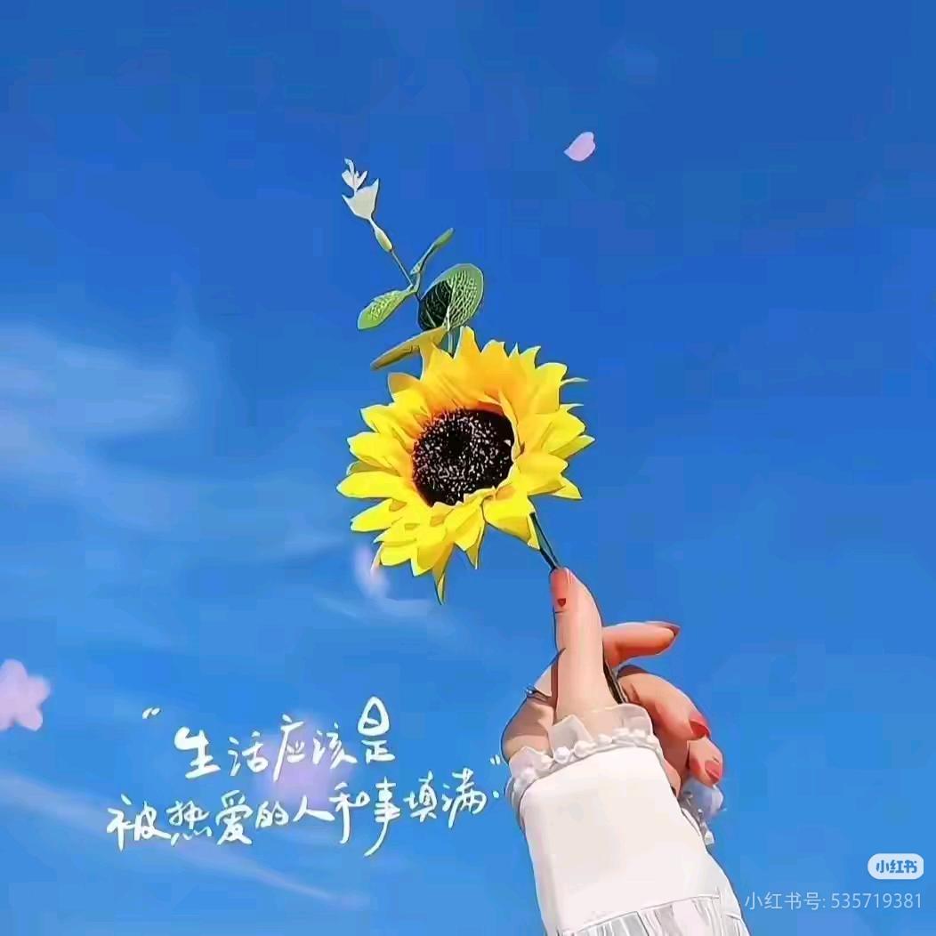 好运满满