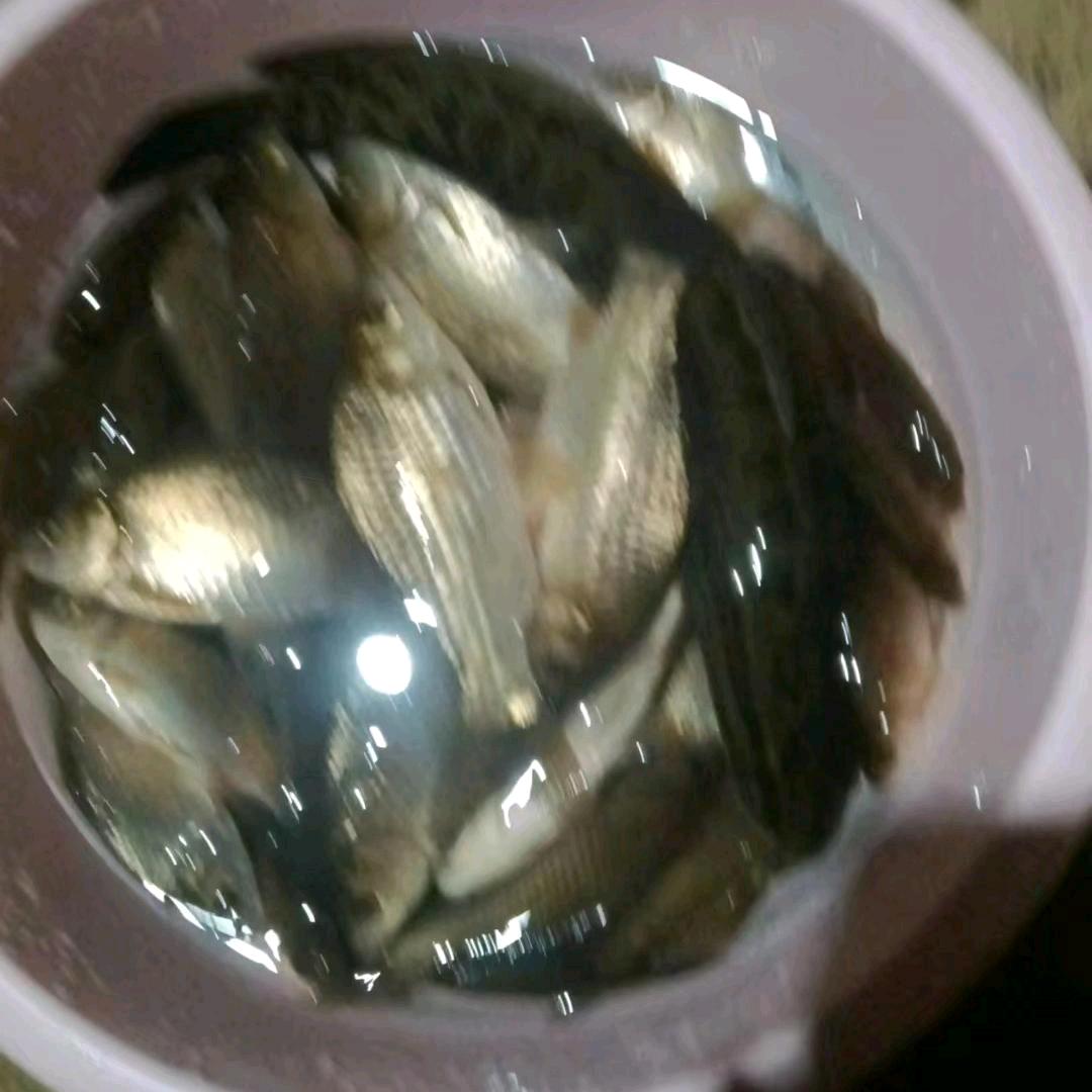 努力前行🐐🦚