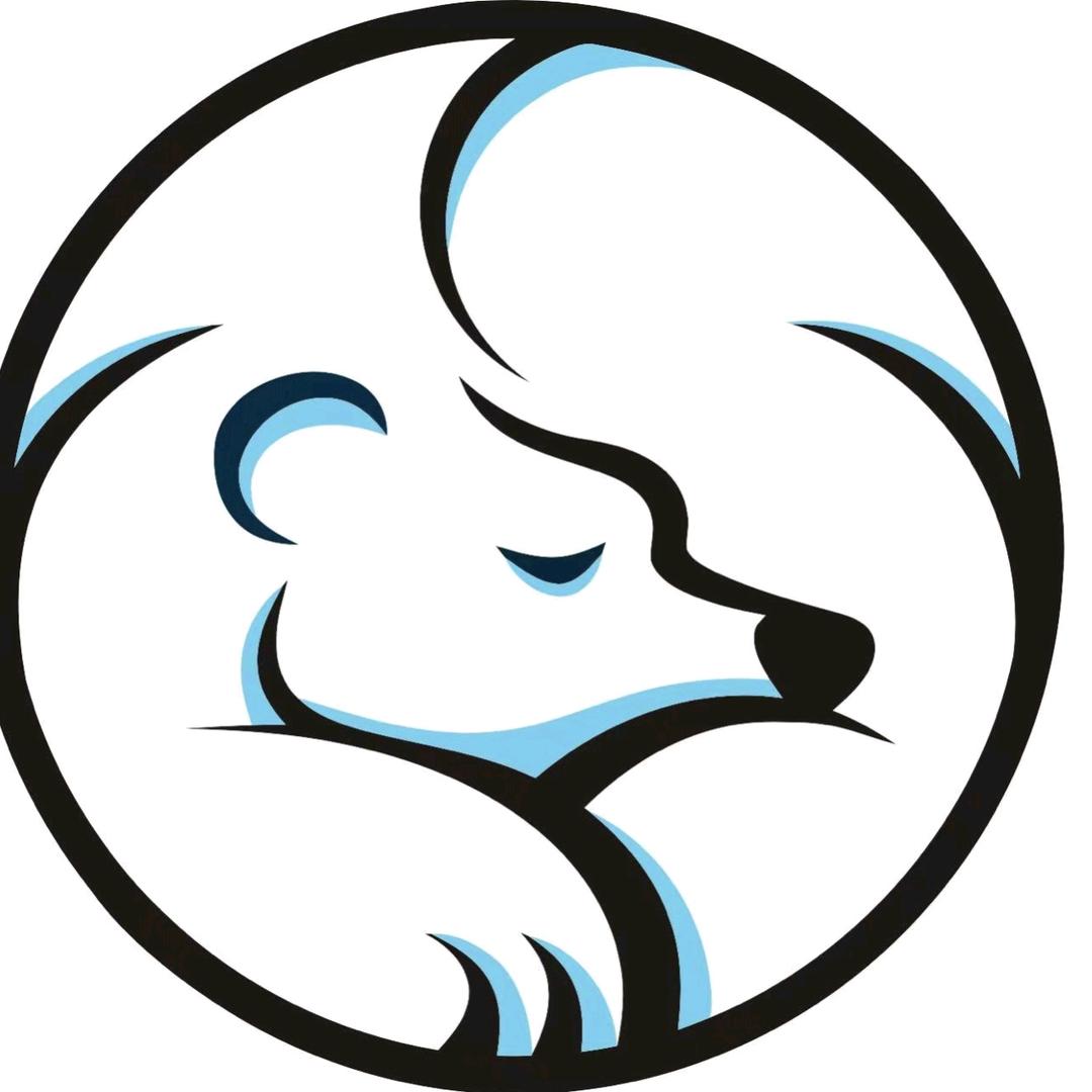 宁晋🐻懒熊洗鞋