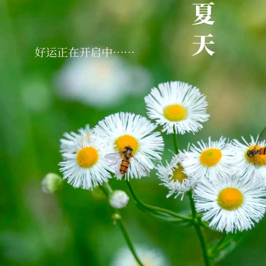 杨老师刊记