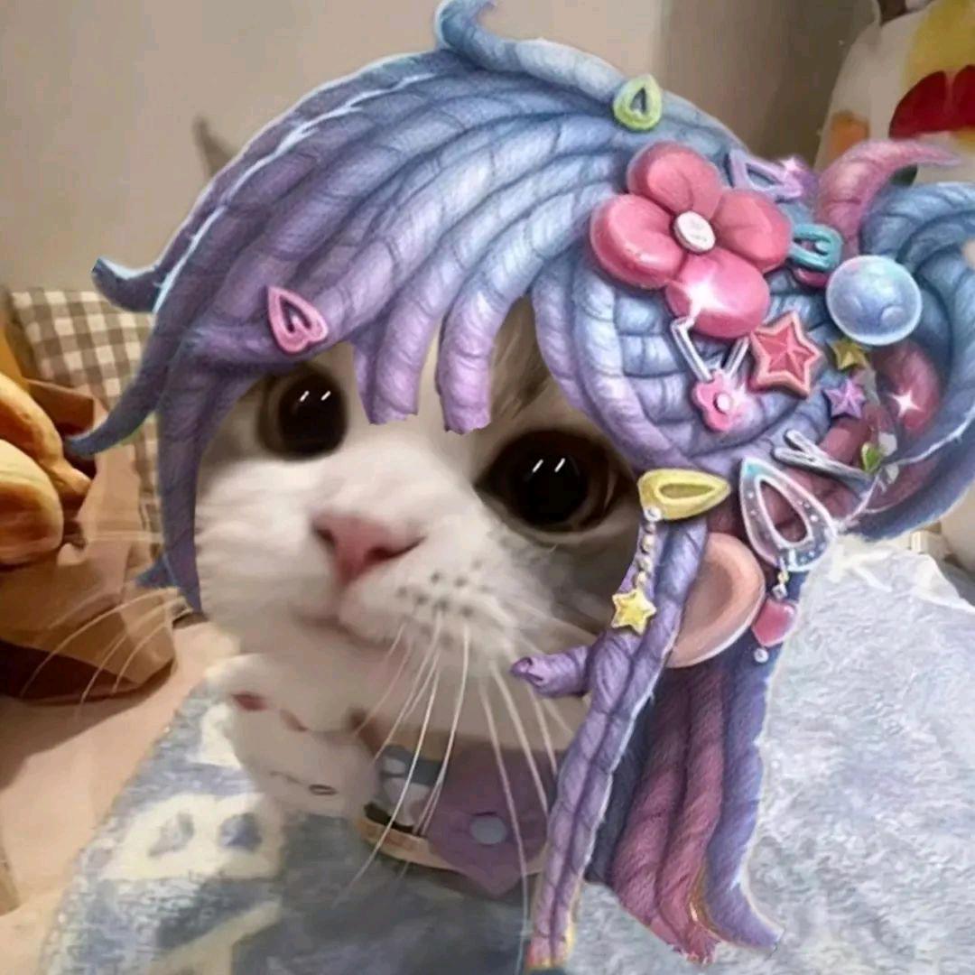 萱萱爱果冻
