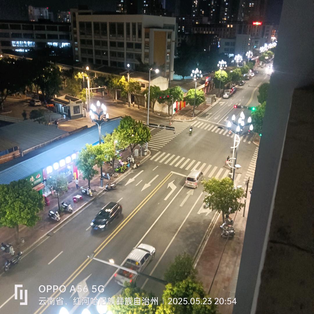众木成林