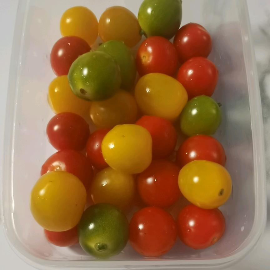 潘小玟童装2号店