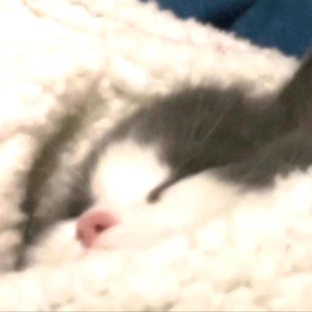 𝗟𝗶𝗶𝗲_𝗲𝗼𝘃𝗲💤