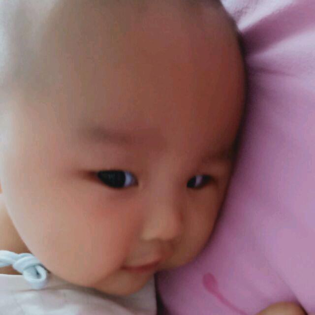 挖机小王子
