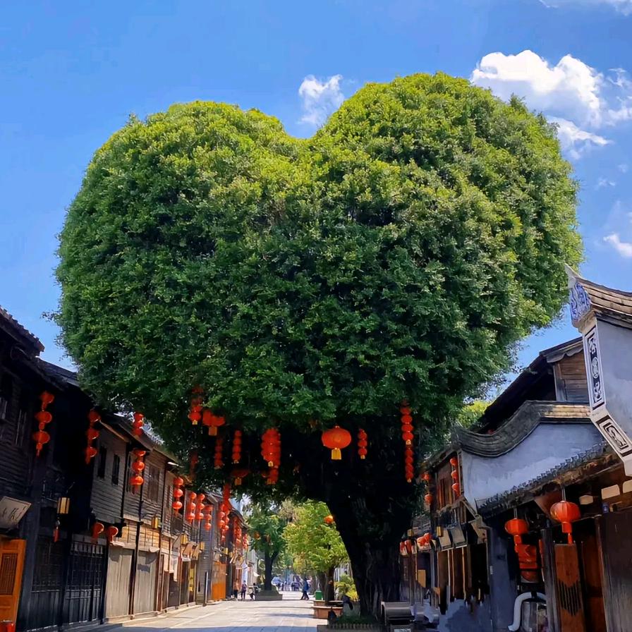 闽E