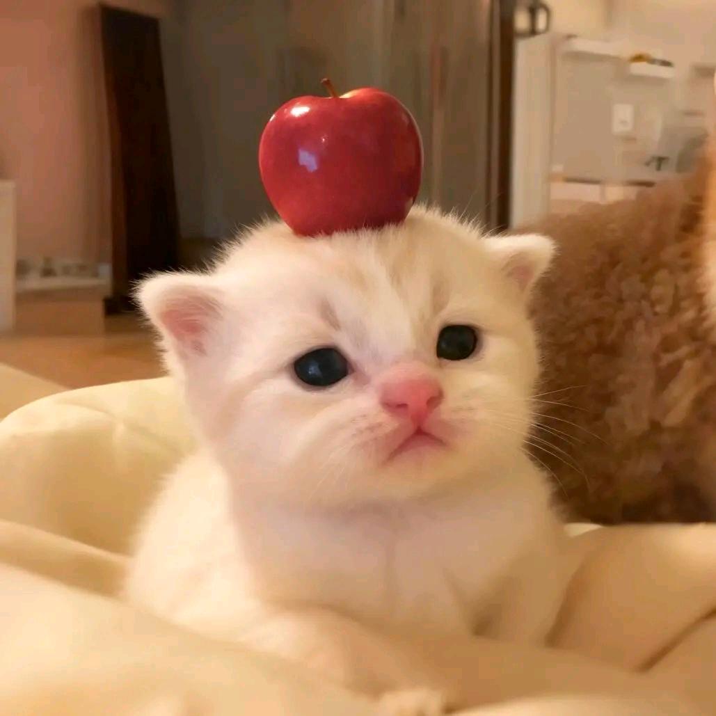 若素
