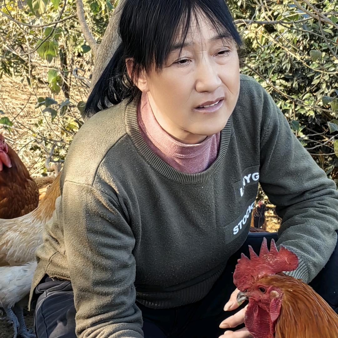 无为市石涧硕果鼎丰家庭农场