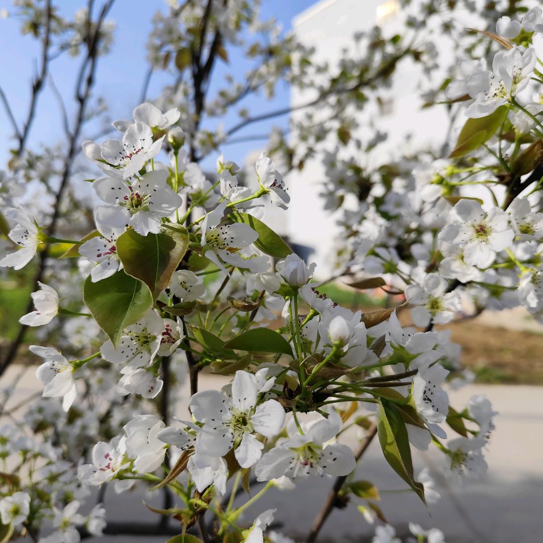 真心就好不必句句煽情