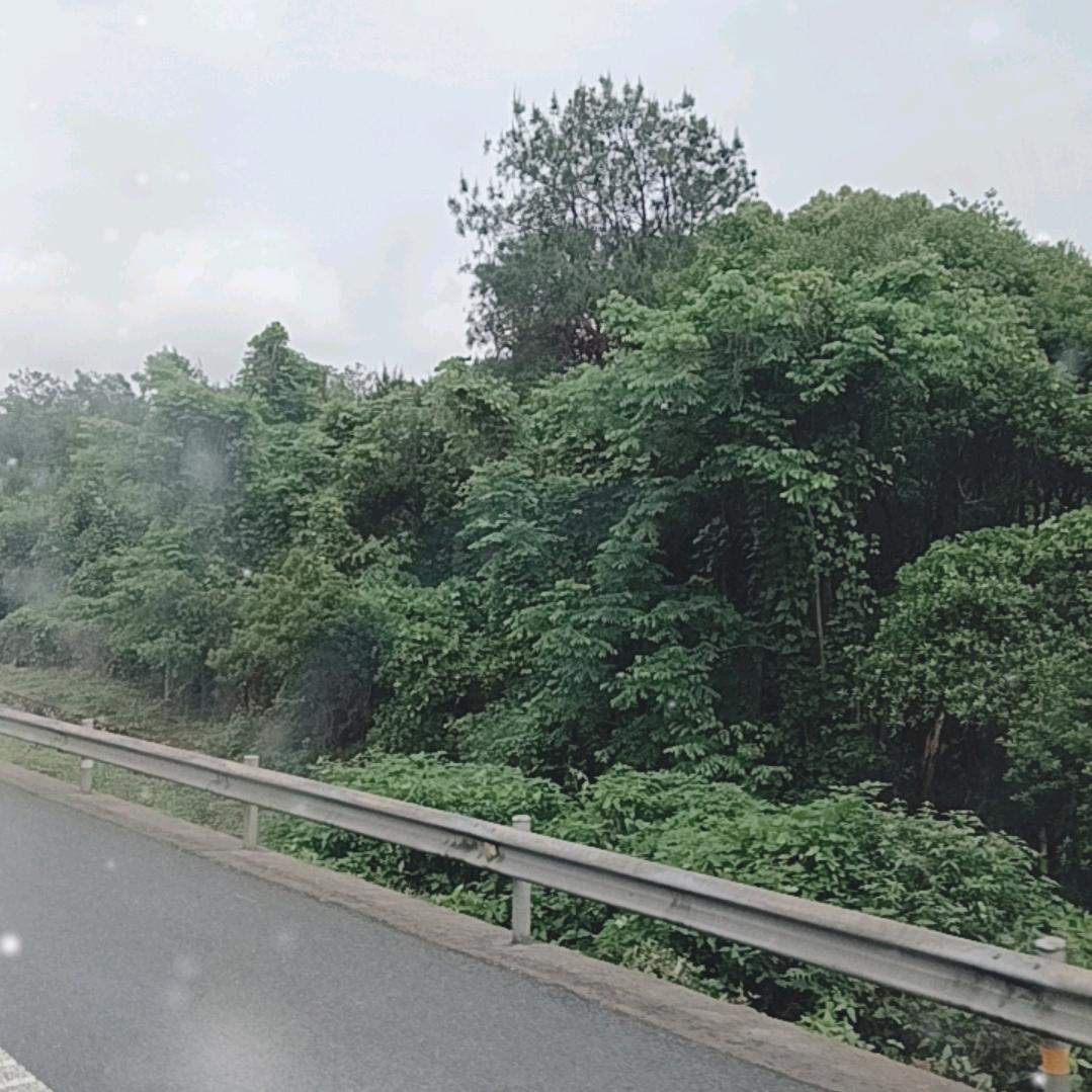 衡水  江苏    上海速运