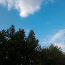 依依（每天下午三点直播）