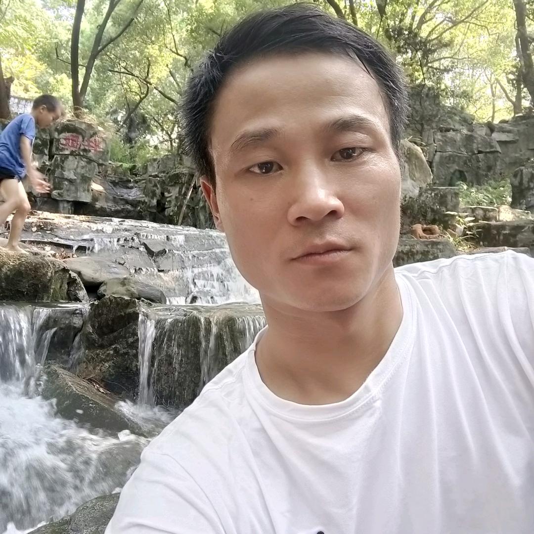 沙漠骆驼