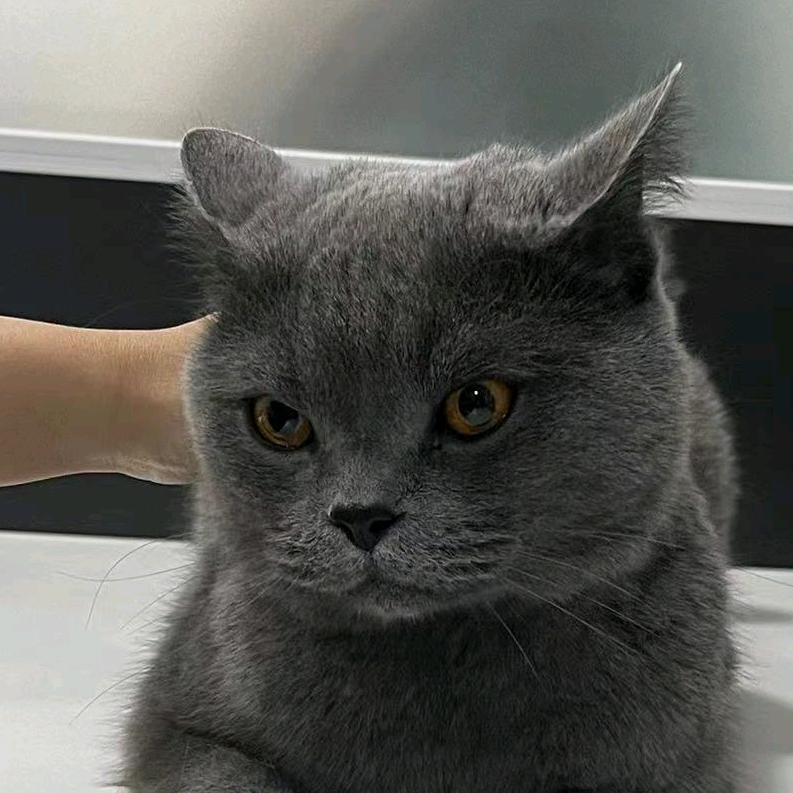 阿贝哥解说影视