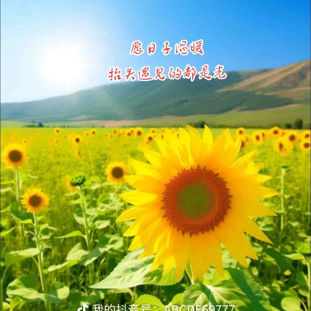 水之源姐