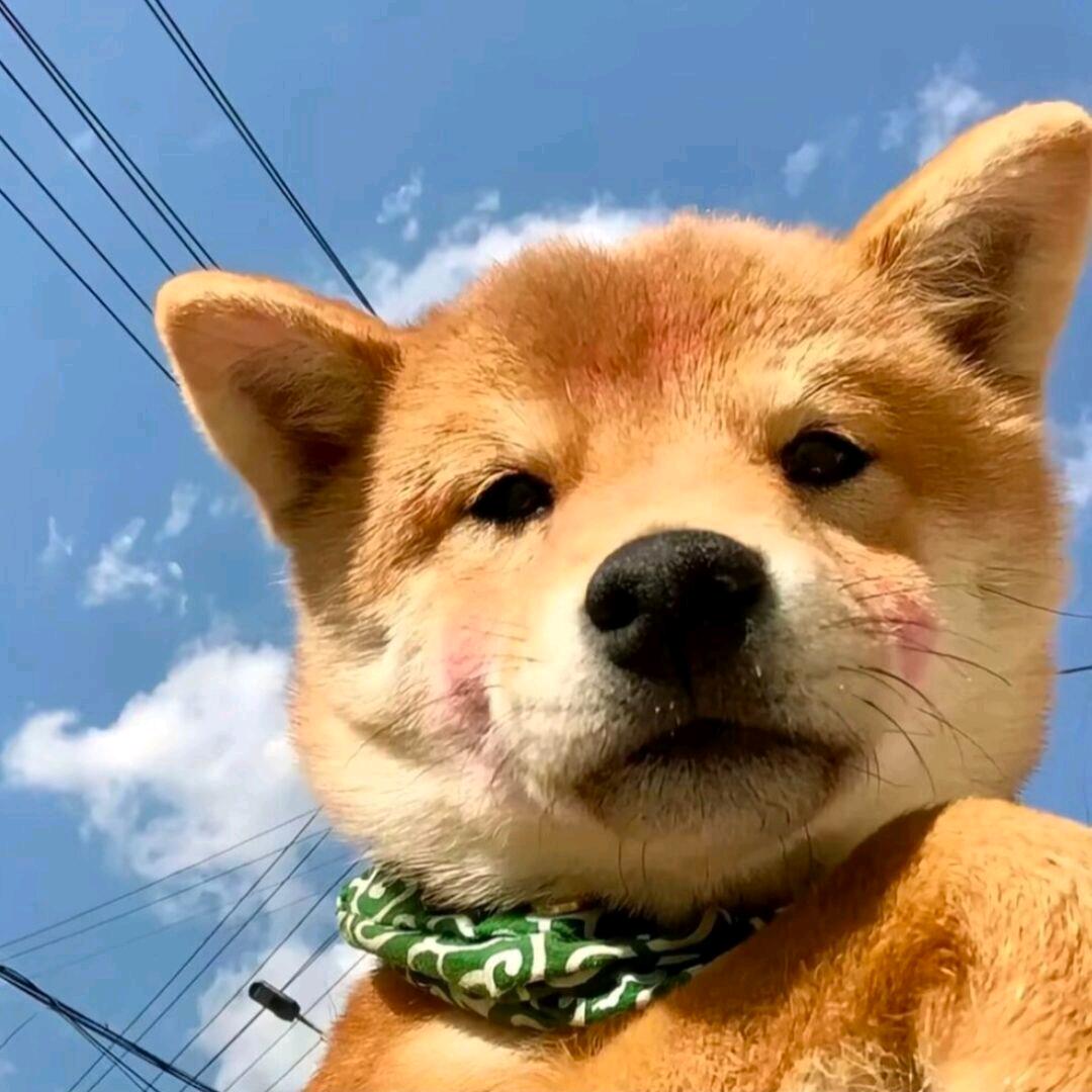 要记得