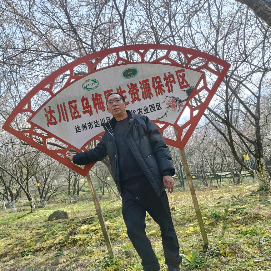 一箭在弦上