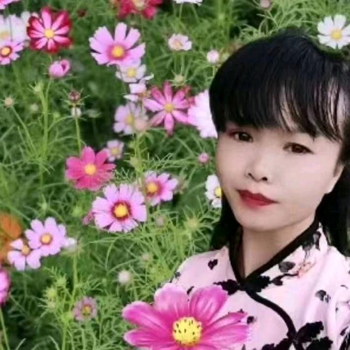琴姐山歌