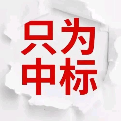 中琨国际代写投标方案