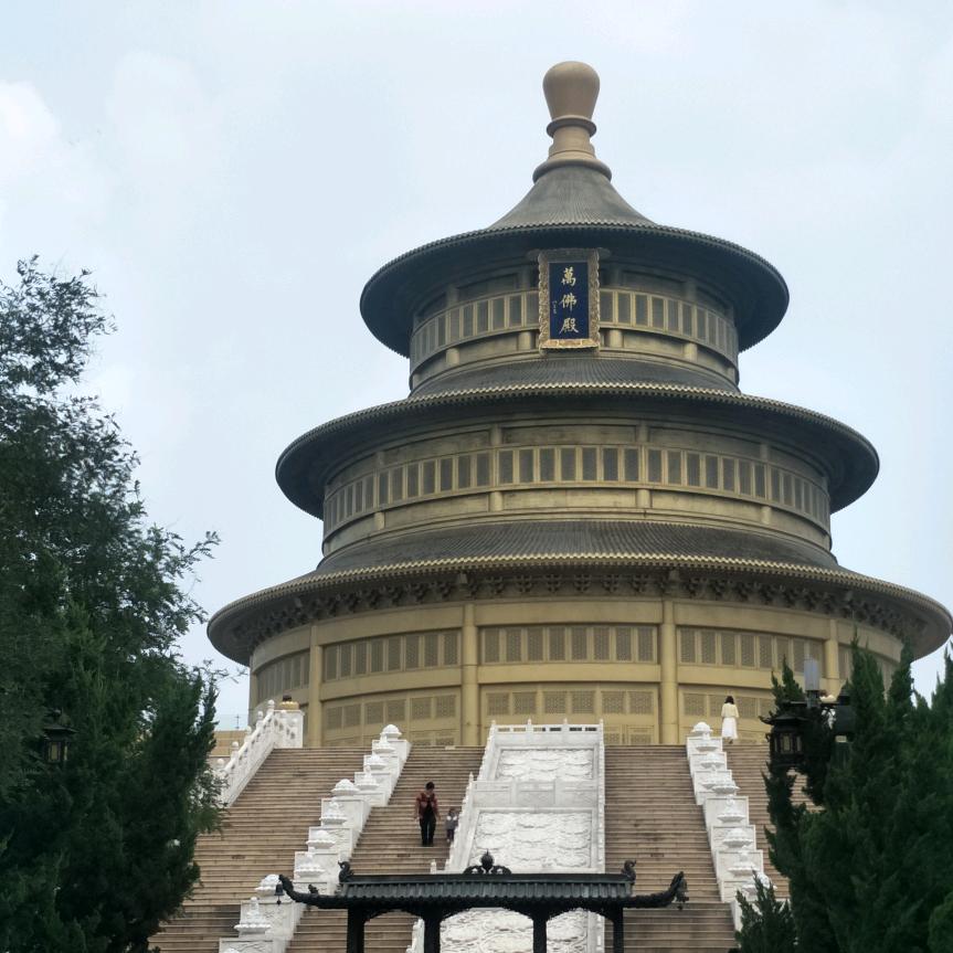 山东靓哥