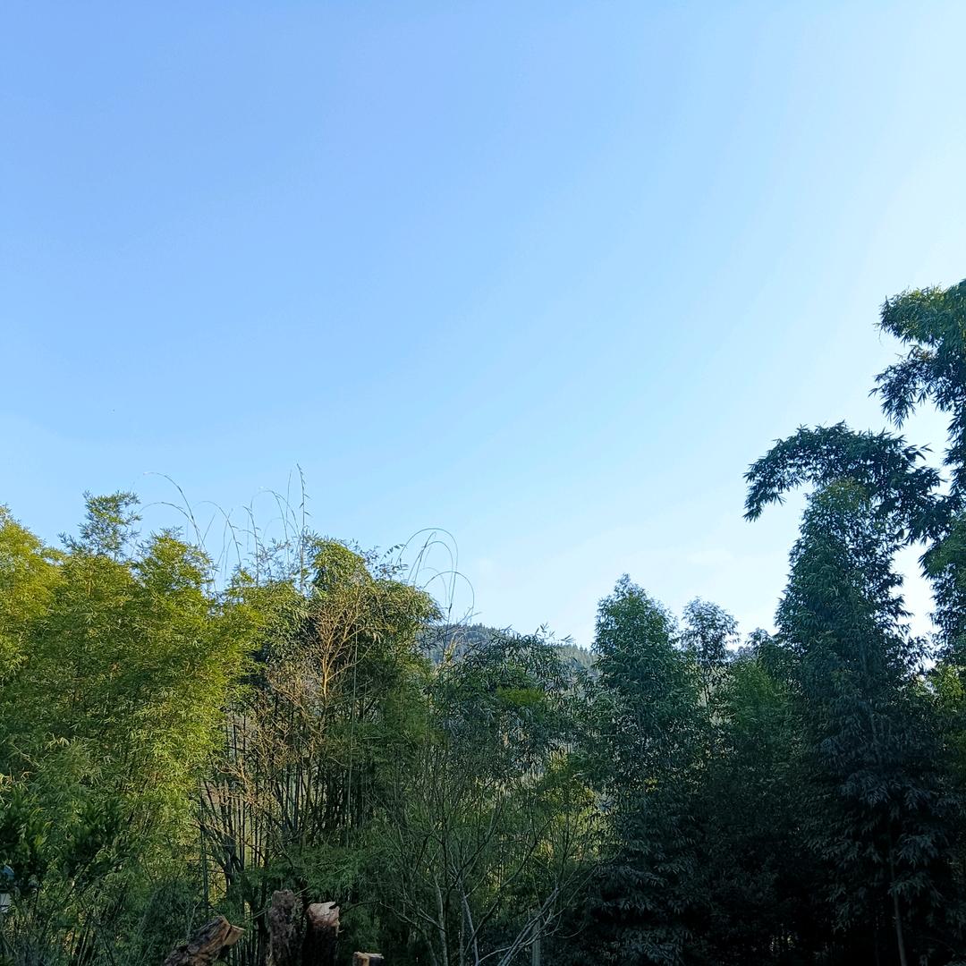喻师傅