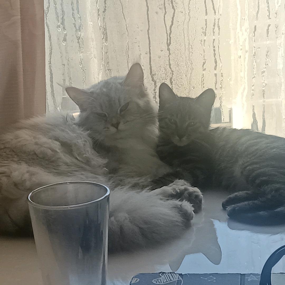 你走后还没去看过你